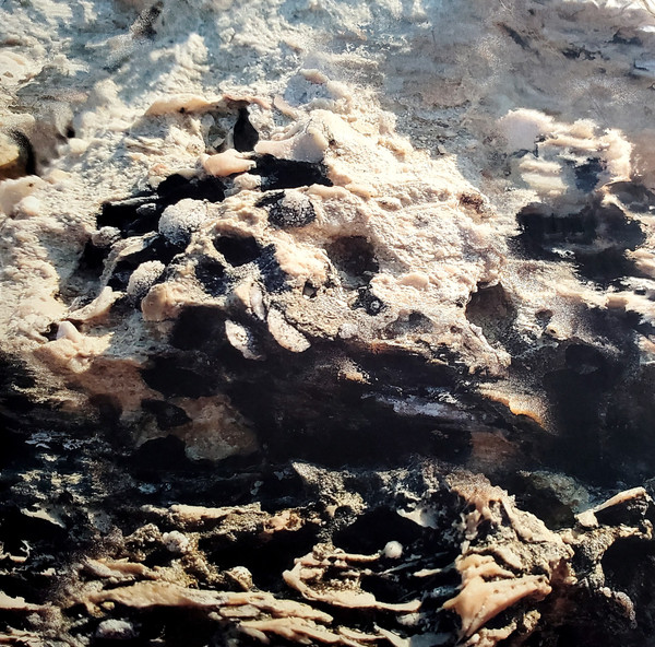 Andrea - Ritorno | Ilian Tape (ITLP06)