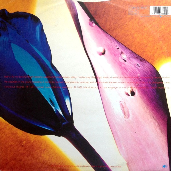 Lalomie Washburn - Try My Love | 4th & Broadway (12 BRW 249) - 2