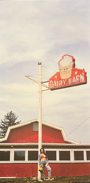 Waxahatchee - Tigers Blood | Anti- (87860-1) - 3