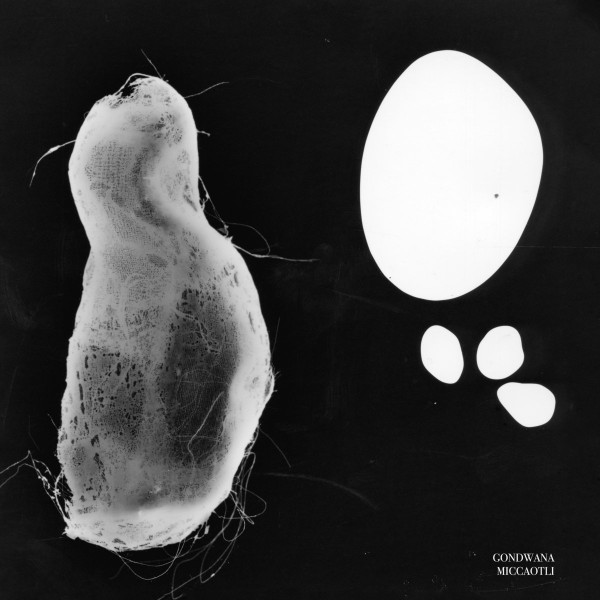 Gondwana - Miccaotli | Opal Tapes (OPAL099) Gondwana - Miccaotli | Opal Tapes (OPAL099)