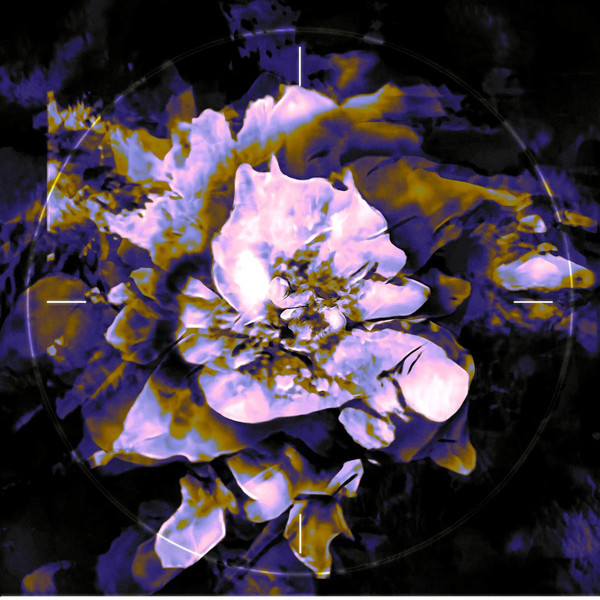 Thrived - Anthea | Club Qu (CQU-B1)