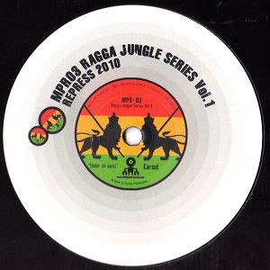 Earsut / 417 - Ragga-Jungle Series Vol.1 Repress 2010 | Melting Pot (MPR-03)