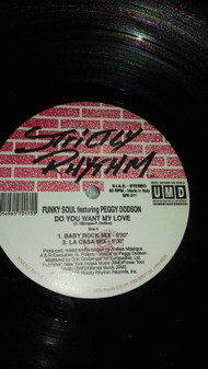 Funky Soul Featuring Peggy Dodson - Do You Want My Love | Strictly Rhythm Italy (SRI 011)