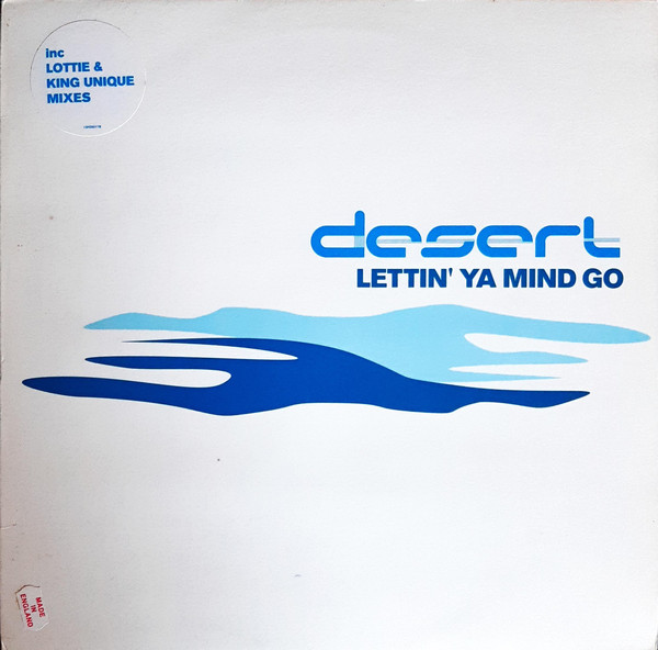 Desert - Lettin' Ya Mind Go | Future Groove (12FGR017R)