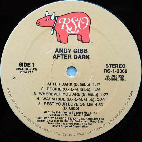 Andy Gibb - After Dark | RSO (RS-1-3069) - 3