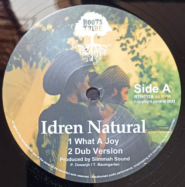 Idren Natural / Kazam Davis - What A Joy / Haile Jah | Roots Tribe (RTR017B)