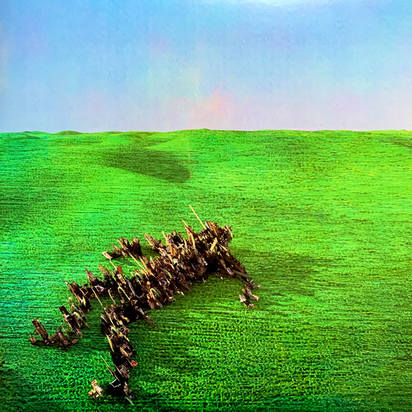 Squid - Bright Green Field | Warp Records (WARPLP314G) Squid - Bright Green Field | Warp Records (WARPLP314G)