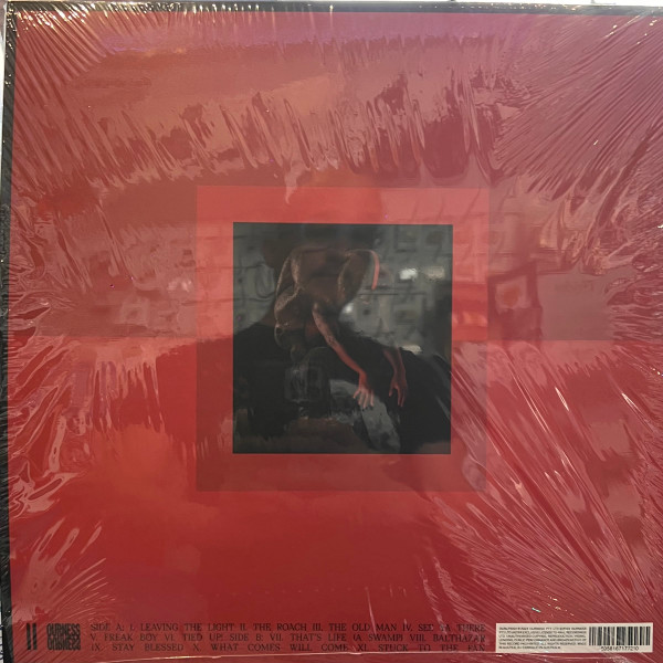 Genesis Owusu - Struggler | Ourness (OURLP2001) Genesis Owusu - Struggler | Ourness (OURLP2001)