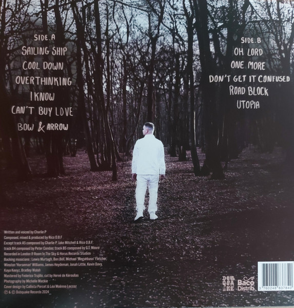Charlie P - Roots | Dubquake Records (DBQKLP15) - 2