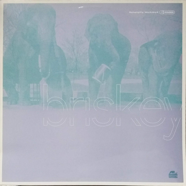 Briskey - Ready When You Are | Downsall Plastics (DSL 023)