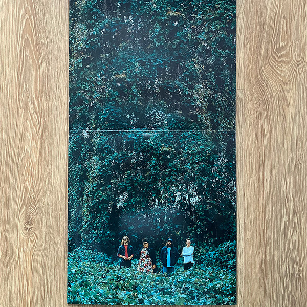 Alabama Shakes - Sound & Color | Rough Trade (RT0221LPX) - 2