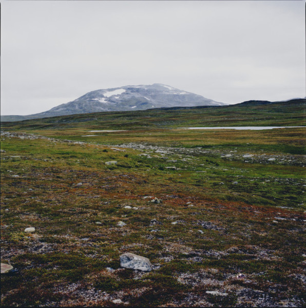 Gidge - Tundra | Atomnation (ATMV119)