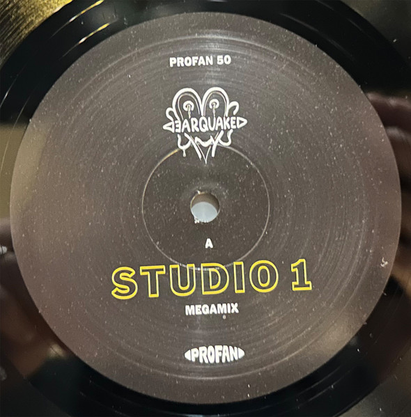 Wolfgang Voigt / Various - Earquake Box | Profan (PROFAN 50) - 2