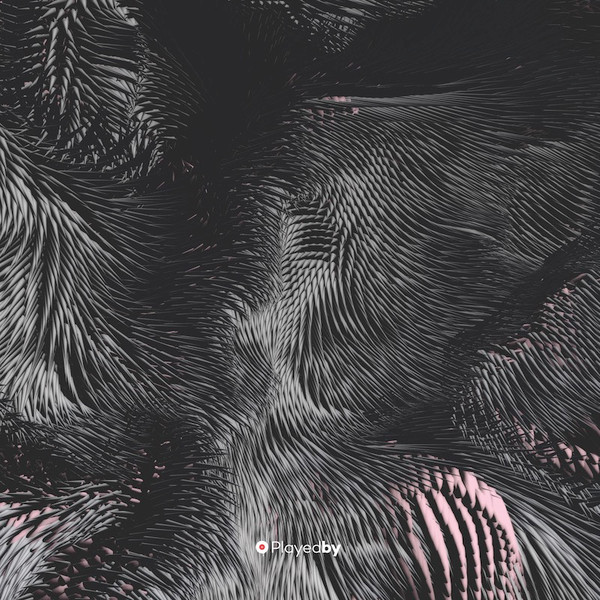 Alin Crihan - Pe Sub Piele SRL | Playedby (Playedby009)