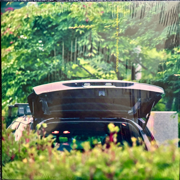 Eiko Ishibashi & Jim O'Rourke - Pareidolia | Drag City (DC921)