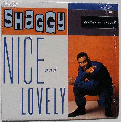 Shaggy - Nice And Lovely | Virgin Records America, Inc. (Y-38420)