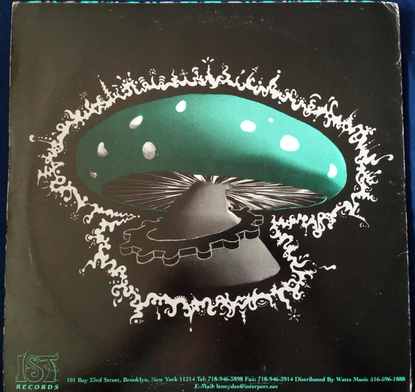 Zenith - A Journey Into My Hallucination | IST Records (IST020) - 2