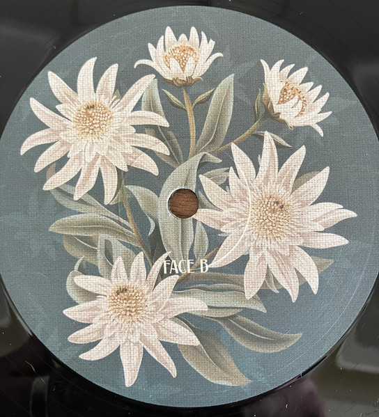 Thylacine - Winter Palace | Sony Music (19802891581) - 4