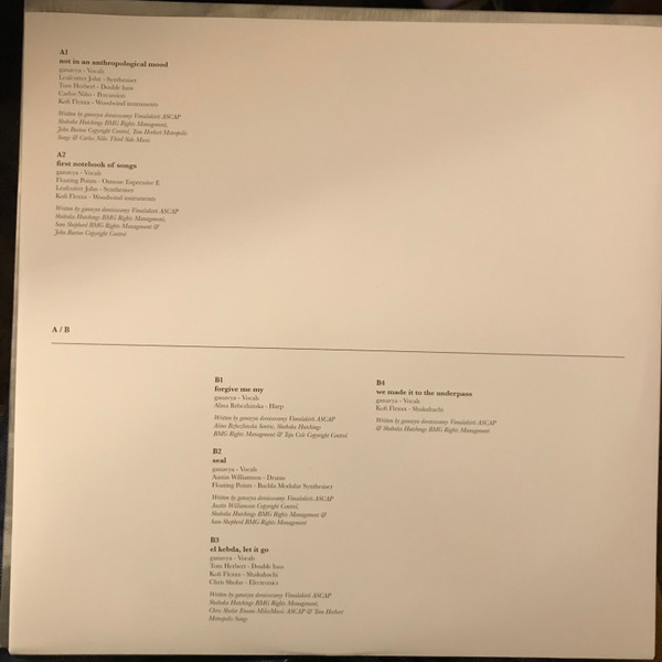 Ganavya - Like The Sky I've Been Too Quiet | Native Rebel Recordings (NRR0008LP) - 2 Ganavya - Like The Sky I've Been Too Quiet | Native Rebel Recordings (NRR0008LP) - 2