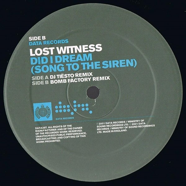Lost Witness - Did I Dream (Song To The Siren) | Data Records (DATA28T) - 4