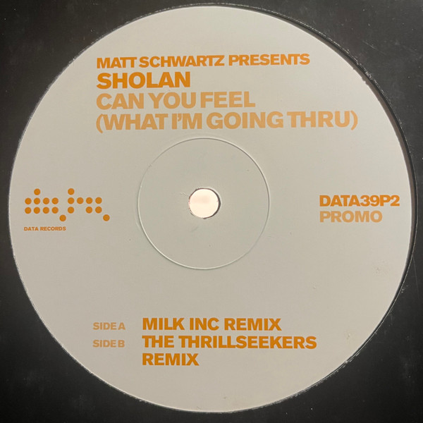 Matt Schwartz Presents Sholan - Can You Feel (What I'm Going Thru) | Data Records (DATA39P2)