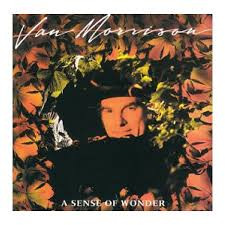 Van Morrison - A Sense Of Wonder | Mercury (822 895-1 M-1) Van Morrison - A Sense Of Wonder | Mercury (822 895-1 M-1)