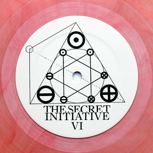 The Secret Initiative - The Secret Initiative VI | The Secret Initiative (TSI 6)