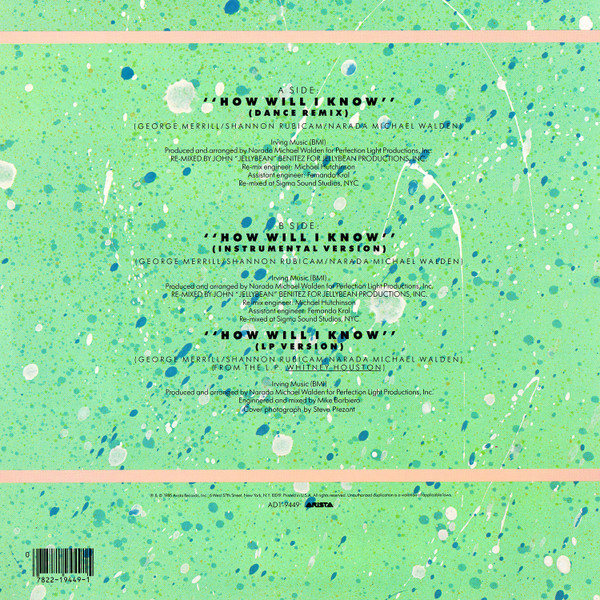 Whitney Houston - How Will I Know (12") [Vinyl] | Arista (AD1-9449) - 2