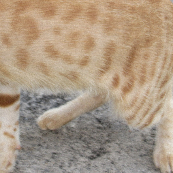 dublon - Nectar | Délicieuse Records (DELI031) - main