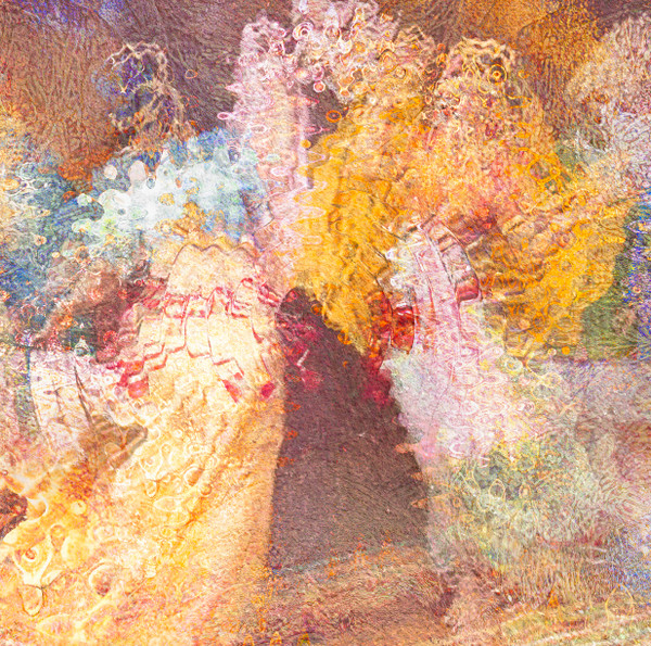 Paul Mahoux - Lysergie Villageoise | Natural Selections (NASE04)