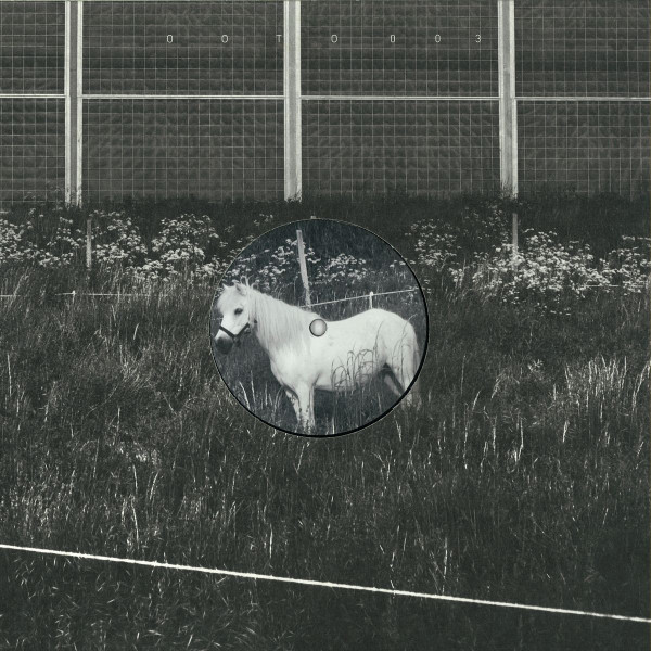 Honesty - A Horse With No Name | OOTO - Out Of The Ordinary (OOTO003)