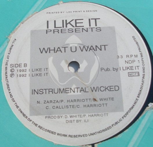 What U Want - Hope Its True | I Like It Records (NDP 1) - 2 What U Want - Hope Its True | I Like It Records (NDP 1) - 2