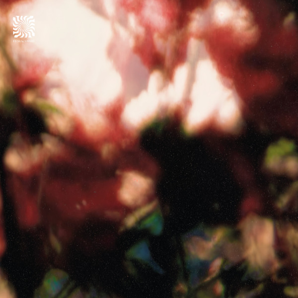 Euphonic Alliances Ltd - Peace Is It In You EP | Femacosmé (FEMACOSME 005)