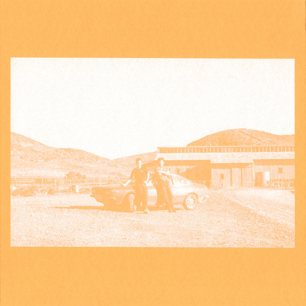 The Frenzied Bricks - (Can I) Bridge The Gap/Entropy | Efficient Space (ES025)