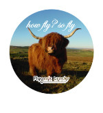 Various - How Fly?  So Fly - Volume 1 | Flygaric Tracks (FLY-006)