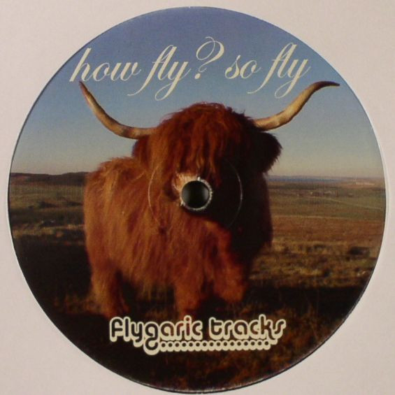 Various - How Fly?  So Fly - Volume 1 | Flygaric Tracks (FLY-006) - 2