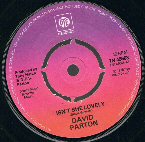 David Parton - Isn't She Lovely | Pye Records (7N 45663)