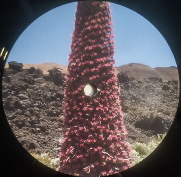 Gonçalo F Cardoso - Impressões De Várias Ilhas (Recordings From Macaronésia: Canary Islands, Açores And Cabo Verde By Gonçalo F. Cardoso) | Discrepant (CREP107) - 3 Gonçalo F Cardoso - Impressões De Várias Ilhas (Recordings From Macaronésia: Canary Islands, Açores And Cabo Verde By Gonçalo F. Cardoso) | Discrepant (CREP107) - 3