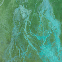 Tiago Sousa - Organic Music Tapes Vol. 1 | Sucata Tapes (SUC49)