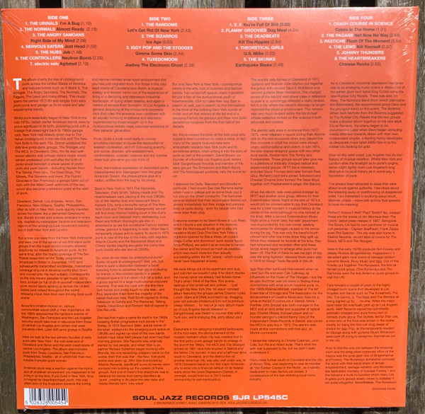 Various - Punk 45: Kill The Hippies! Kill Yourself! The American Nation Destroys Its Young (Underground Punk In The United States Of America, 1973-1980 Vol. 1) | Soul Jazz Records (SJR LP545C) - 3