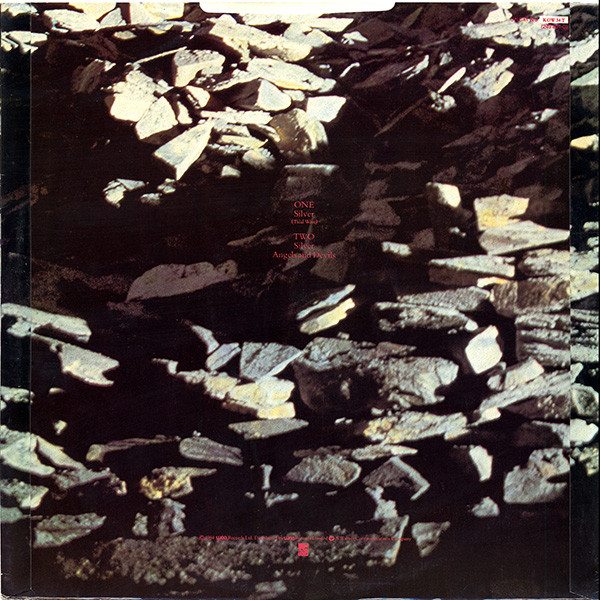 Echo & The Bunnymen - Silver (Tidal Wave) | Korova (KOW 34 (T)) - 2