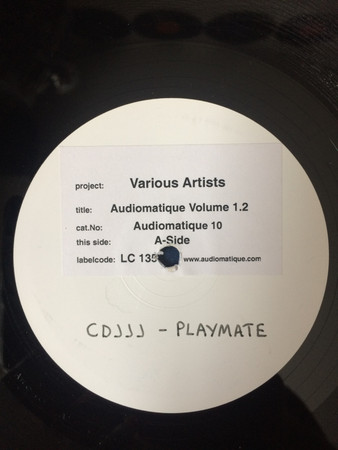 Various - Audiomatique Volume 1.2 | Audiomatique Recordings (AM10)