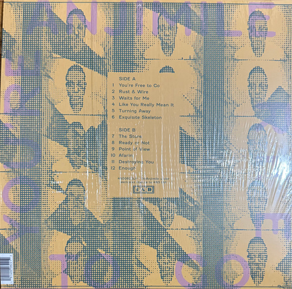 Anjimile - You're Free To Go | 4AD (4AD0822LP) - 2