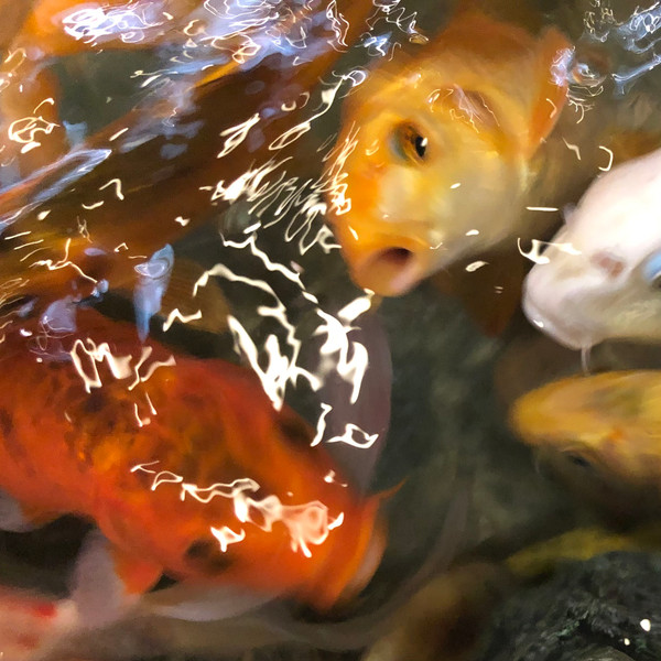 James Bernard / Influx - Reminiscence | Hybride Sentimento (HYB.004)