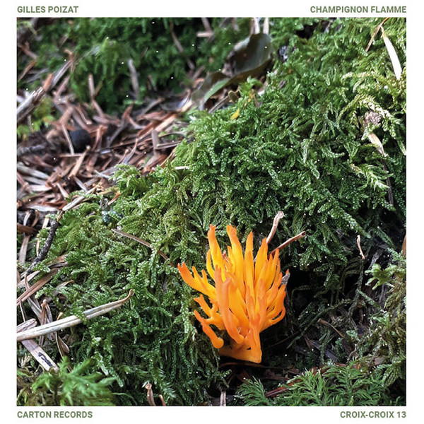 Gilles Poizat - Champignon Flamme | Carton Records (croix-croix13)