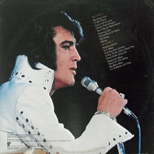 Elvis Presley - Double Dynamite! (2LP) [Vinyl] | Pickwick (DL2-5001) - 2