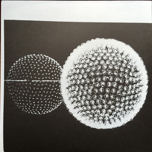 Linkwood - Expressions | Firecracker Recordings (FIREC013LP) - main Linkwood - Expressions | Firecracker Recordings (FIREC013LP) - main