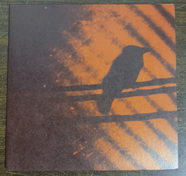 A Silver Mt. Zion - Born Into Trouble As The Sparks Fly Upward. | Constellation (cst018-1) A Silver Mt. Zion - Born Into Trouble As The Sparks Fly Upward. | Constellation (cst018-1)