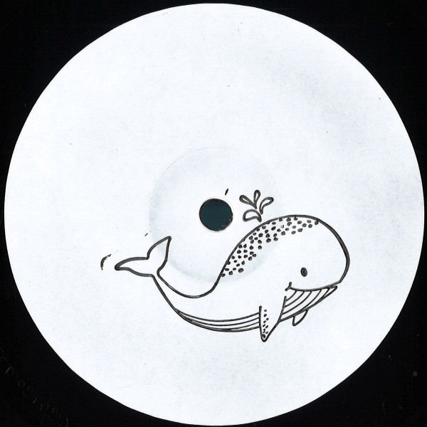 Nicolas Duvoisin - Black Ocean | Fantastic Friends Recordings (FFRLIMITED029)