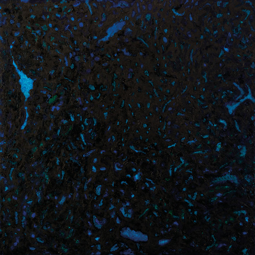 Zenker Brothers - Immersion | Ilian Tape (ITLP01) Zenker Brothers - Immersion | Ilian Tape (ITLP01)